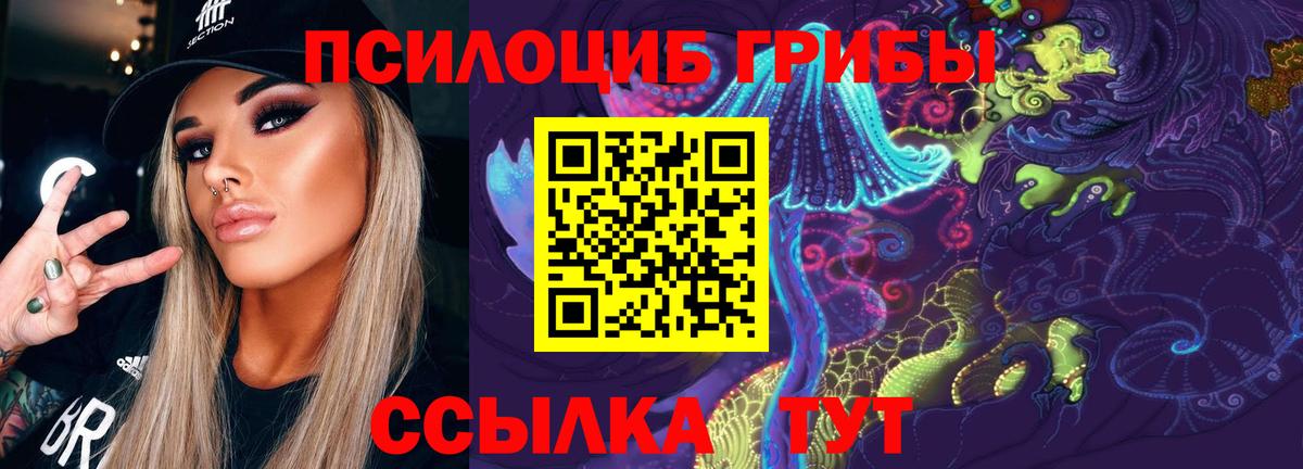 Тутаев  Псилоцибиновые грибы GOLDEN TEACHER  Псилоцибиновые грибы Magic Shrooms  Вход с VPN 