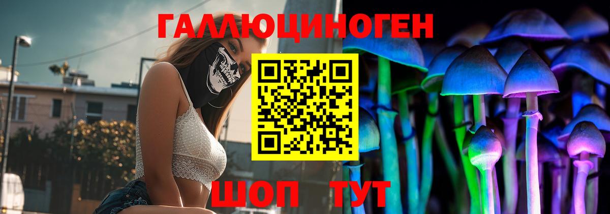 Псилоцибиновые грибы прущие грибы Тутаев